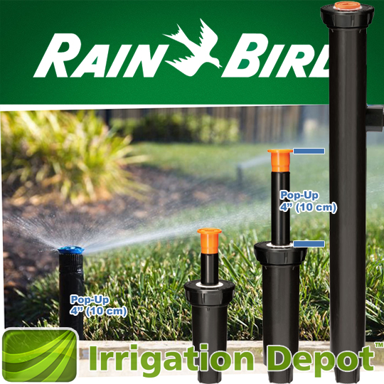 Rain Bird 1800 Professional Series 1/2-in Plastic Pop-up Spray Head Sprinkler 